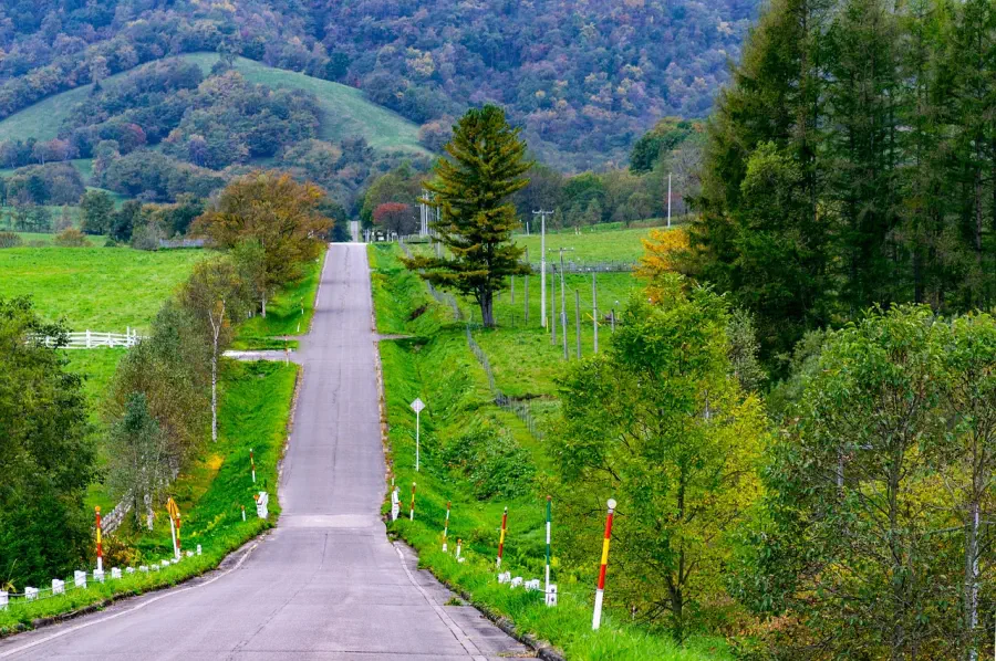 Japan by Mini Campervan: Alps, Ancient Trails and the Izu Coast